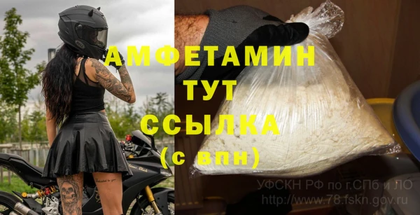 амф Рославль