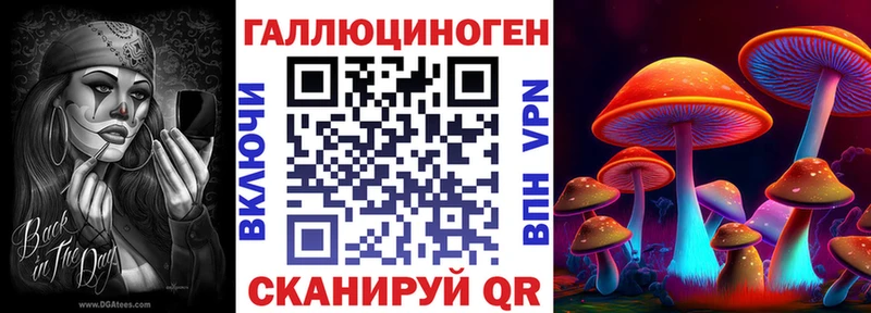 Псилоцибиновые грибы Psilocybe  Власиха 